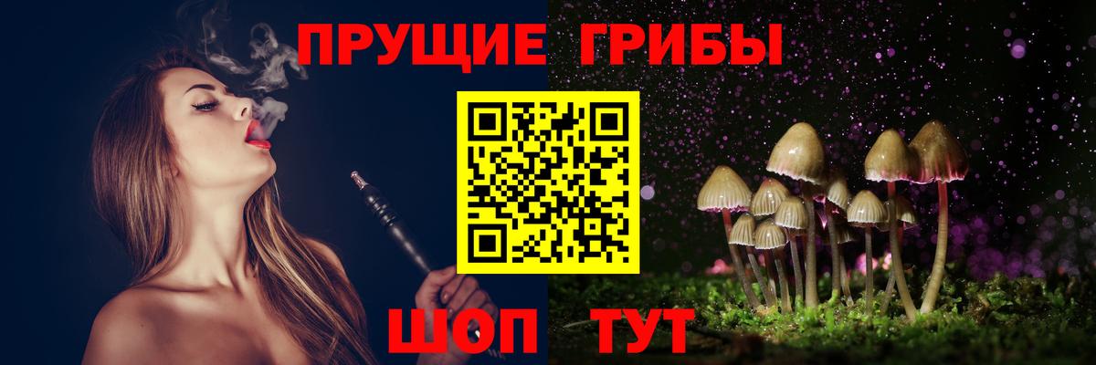 Галлюциногенные грибы Psilocybine cubensis  Вход с VPN  Оренбург 